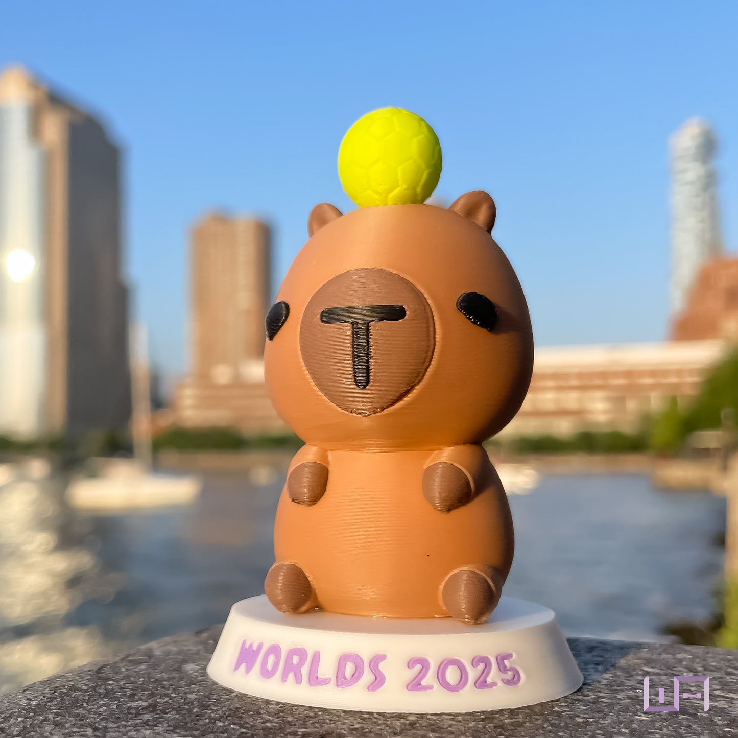 Vex-Inspired Memorabilia 2024-2025: Capybara Ball