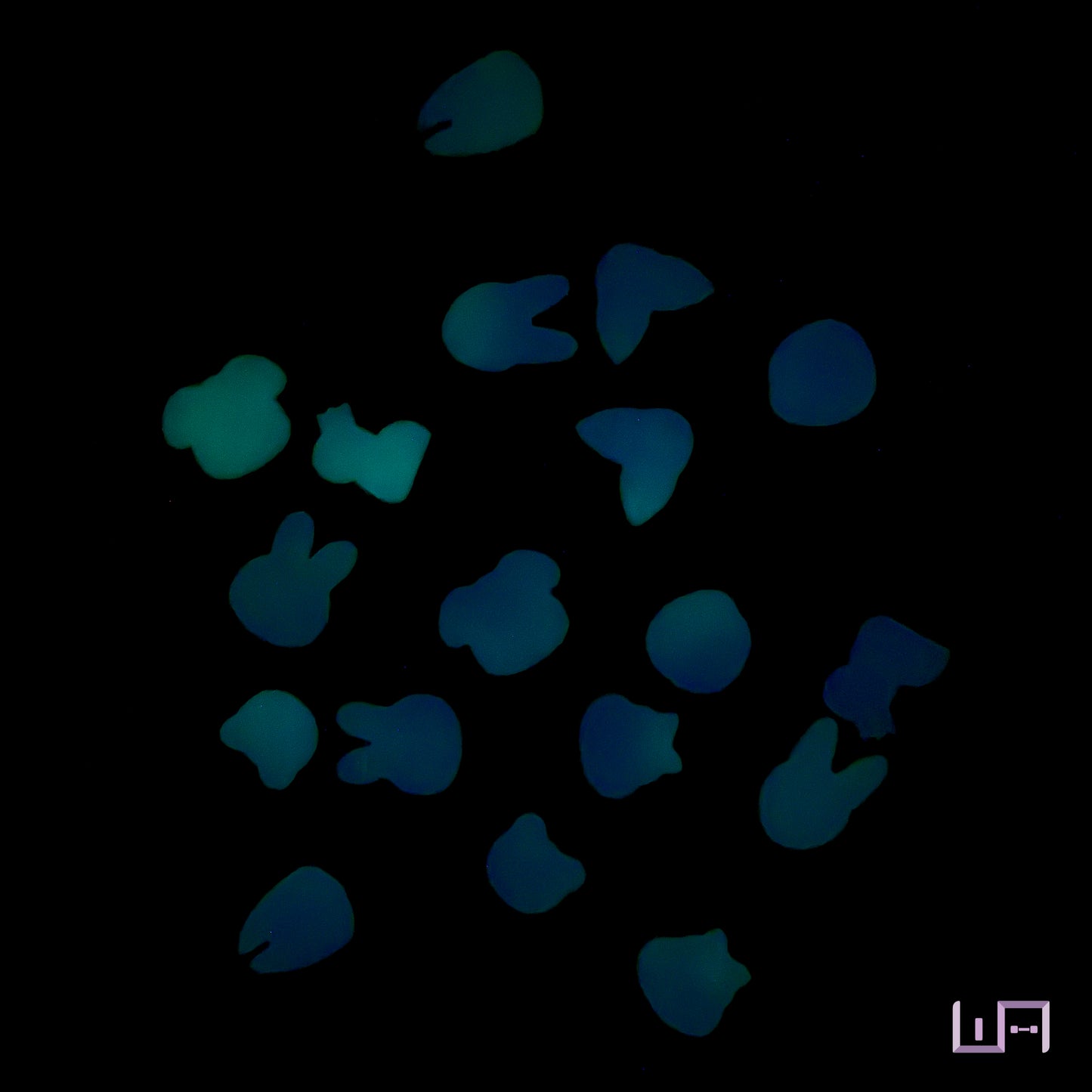 Glow in the Dark
