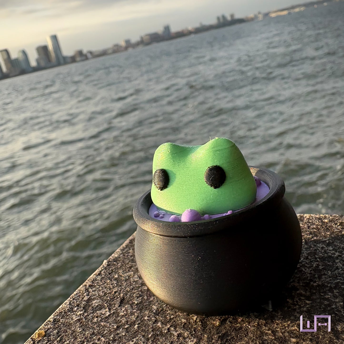Frog in Cauldron