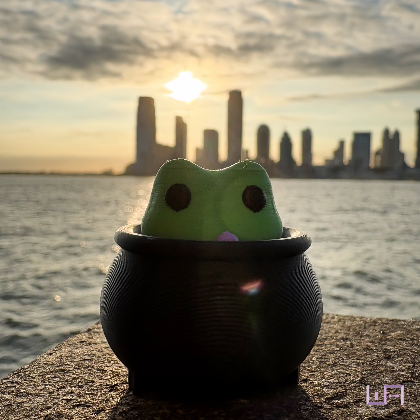 Frog in Cauldron