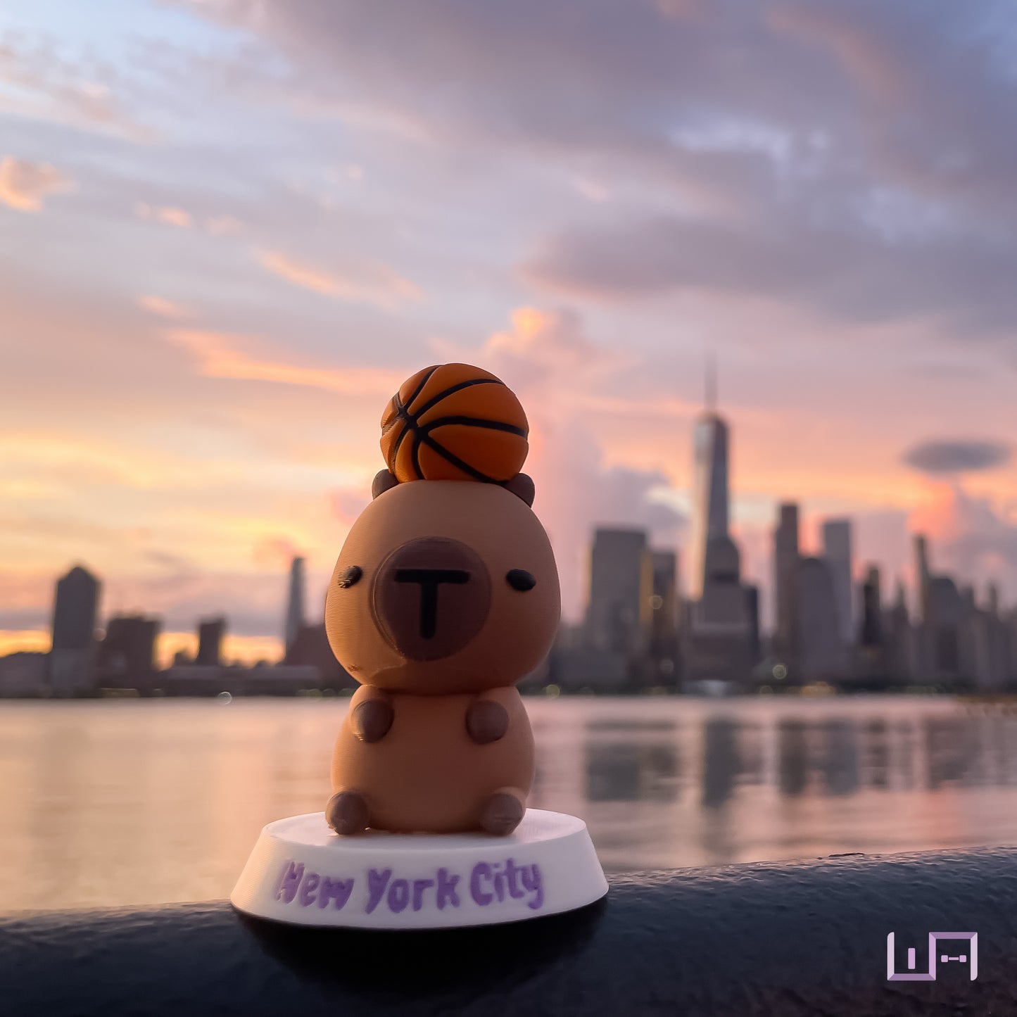 NYC: Capybara Basketball