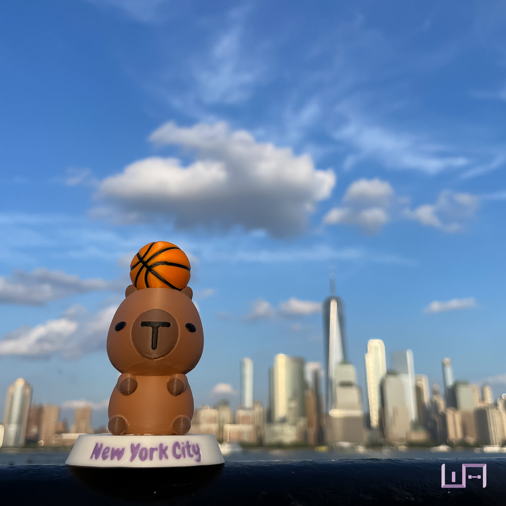 NYC: Capybara Basketball